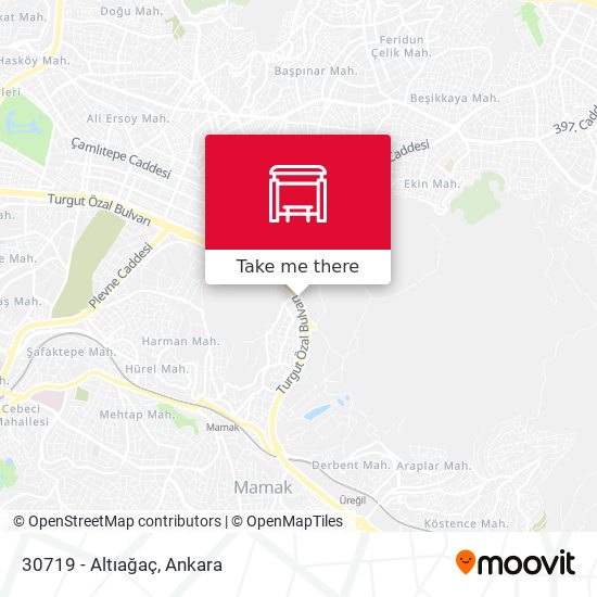 30719 - Altıağaç map