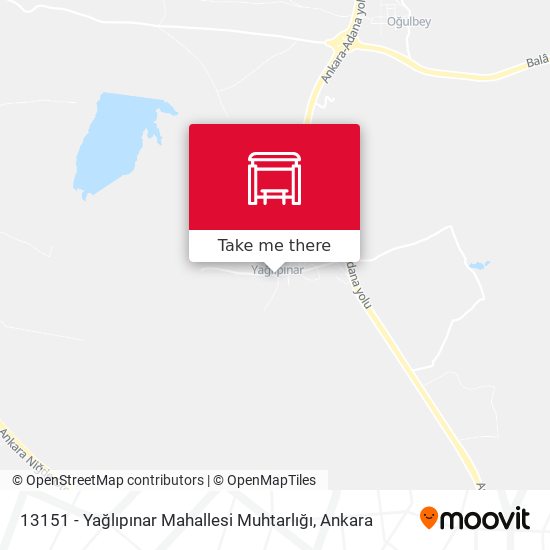 13151 - Yağlıpınar Mahallesi Muhtarlığı map