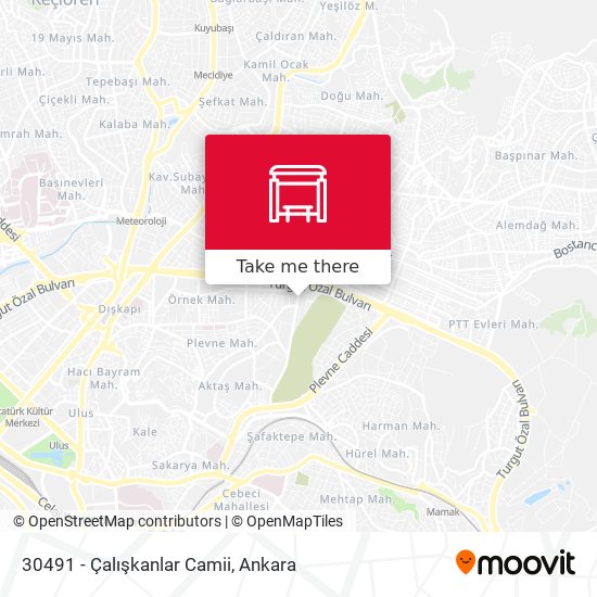 30491 - Çalışkanlar Camii map