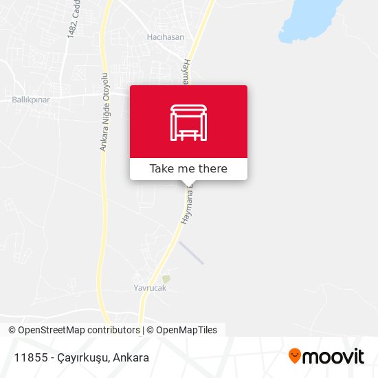 11855 - Çayırkuşu map