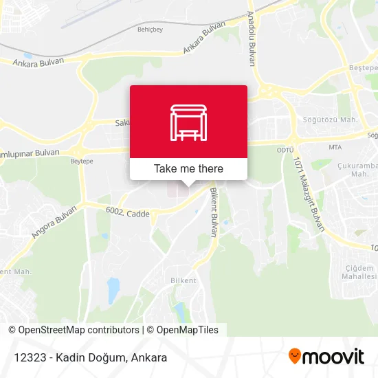 12323 - Kadin Doğum map
