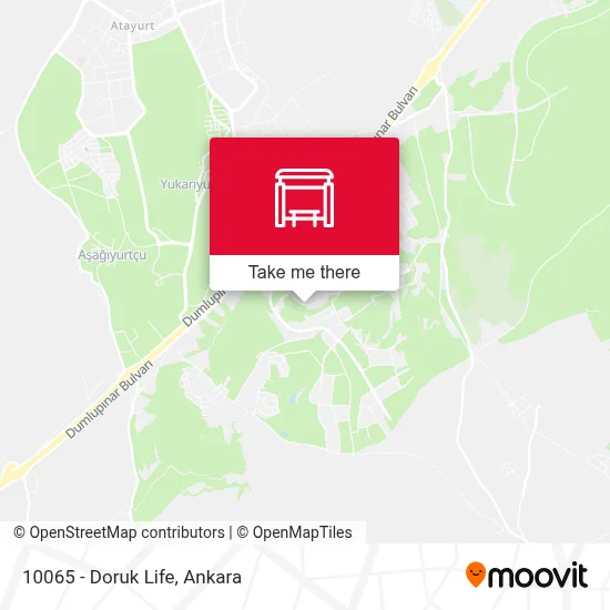 10065 - Doruk Life map