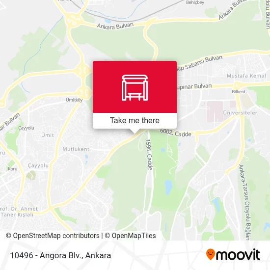 10496 - Angora Blv. map