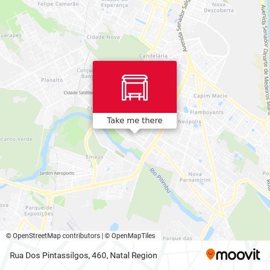 Rua Dos Pintassilgos, 460 map