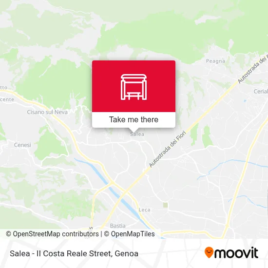Salea - II Costa Reale Street map