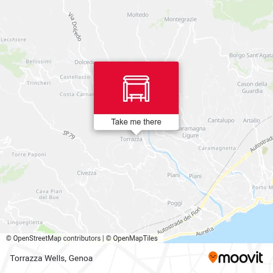Torrazza Wells map