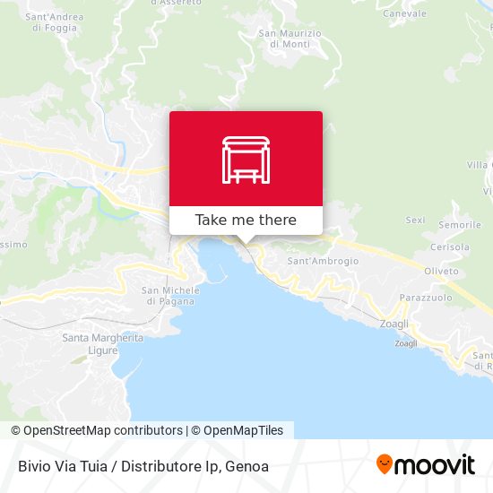 Bivio Via Tuia / Distributore Ip map