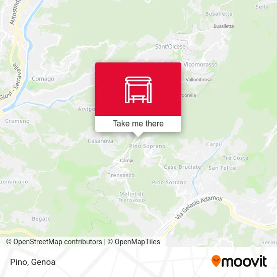 Pino map