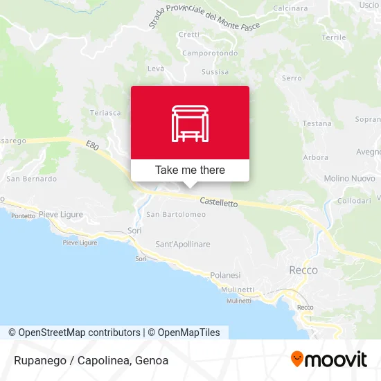 Rupanego / Terminal map