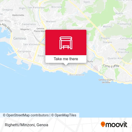 Righetti/Minzoni map