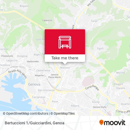 Bertuccioni 1/Guicciardini map