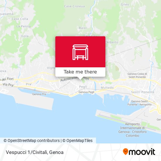 Vespucci 1/Civitali map