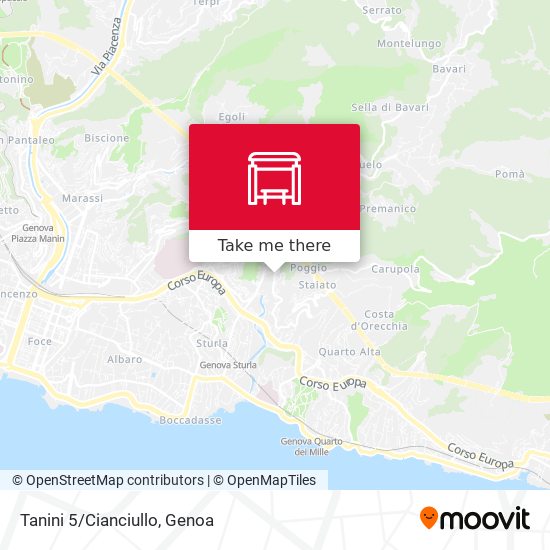 Tanini 5/Cianciullo map
