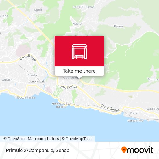 Primule 2/Campanule map