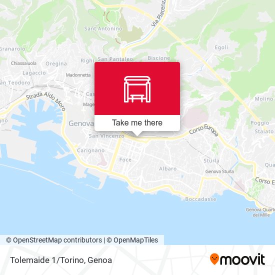Tolemaide 1/Torino map