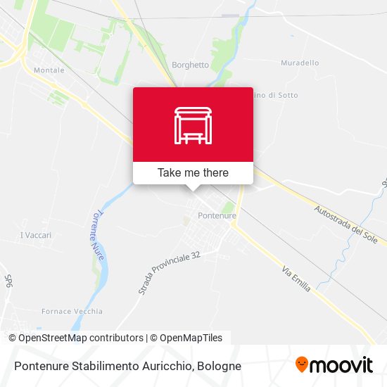 Pontenure Stabilimento Auricchio map