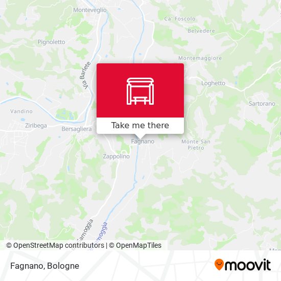 Fagnano map