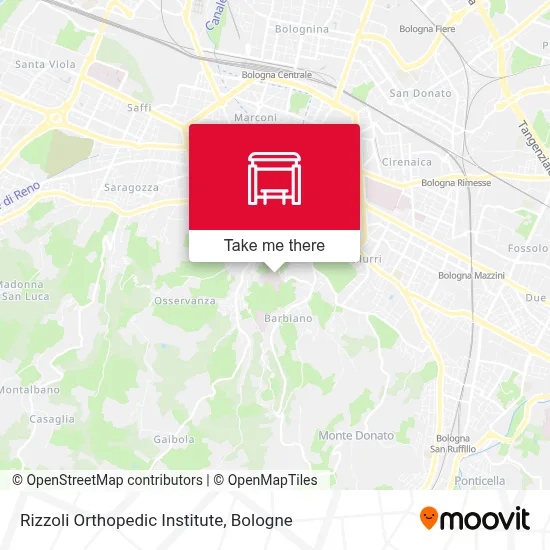 Rizzoli Orthopedic Institute map