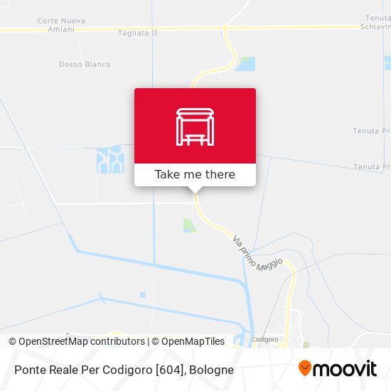 Ponte Reale Per Codigoro [604] map