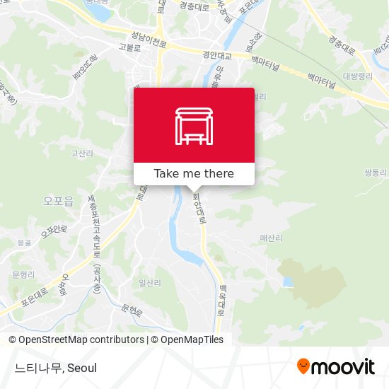 느티나무 map