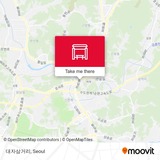 대자삼거리 map