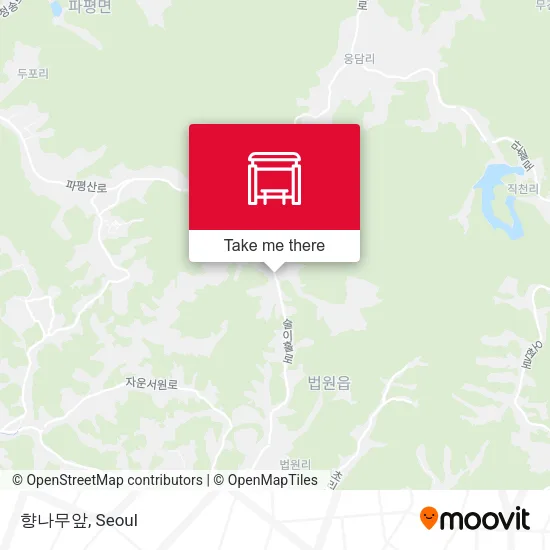 향나무앞 map