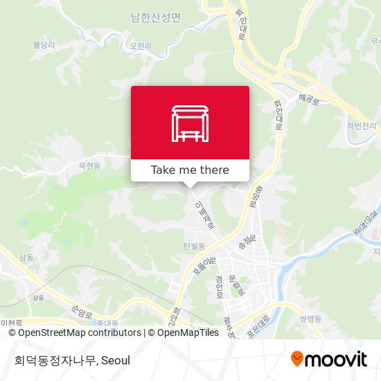 회덕동정자나무 map