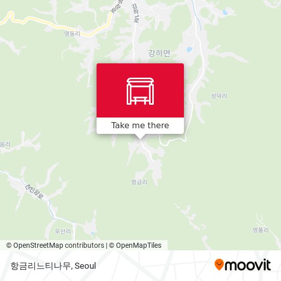 항금리느티나무 map