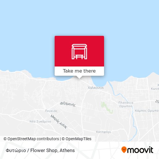 Φυτώριο / Flower Shop map