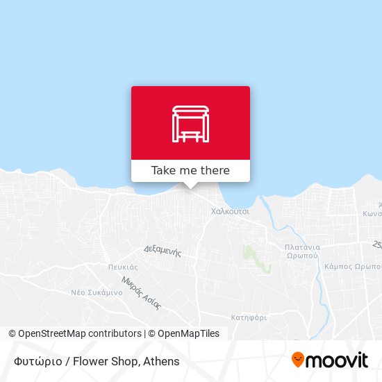 Φυτώριο / Flower Shop map