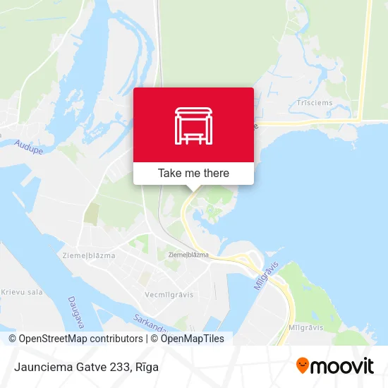 Карта Jaunciema Gatve 233