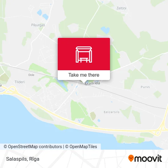 Карта Salaspils