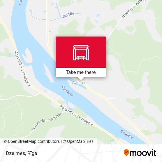 Карта Dzelmes
