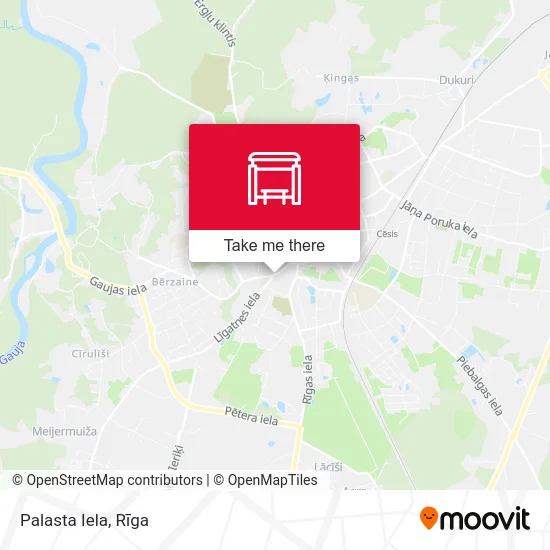 Карта Palasta Iela