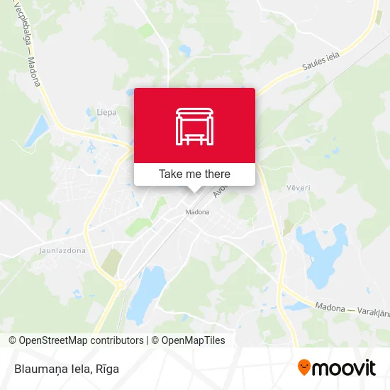 Карта Blaumaņa Iela