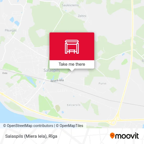 Salaspils (Miera Iela) map
