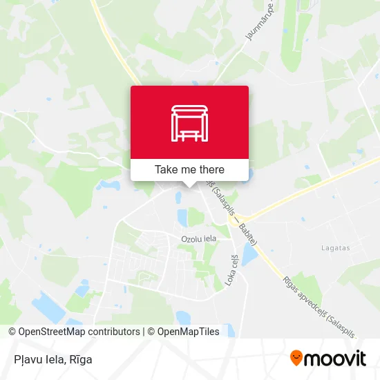 Pļavu Iela map