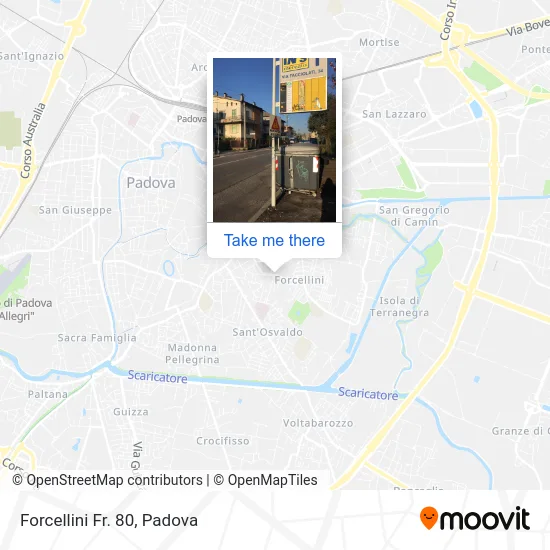 Forcellini Near 80 map