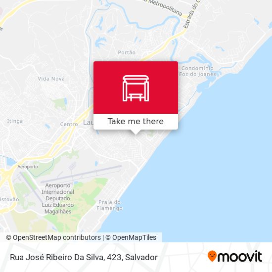Mapa Rua José Ribeiro Da Silva, 423