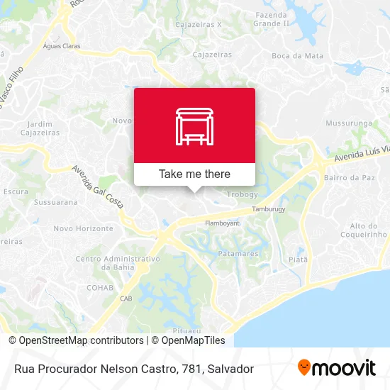 Rua Procurador Nelson Castro, 781 map