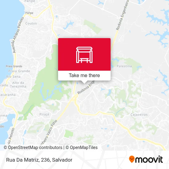 Rua Da Matriz, 236 map