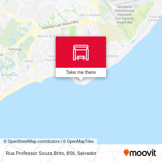 Rua Professor Souza Brito, 856 map
