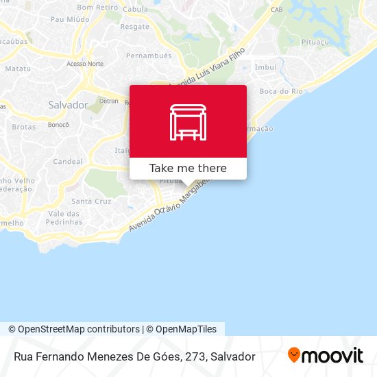 Rua Fernando Menezes De Góes, 273 map