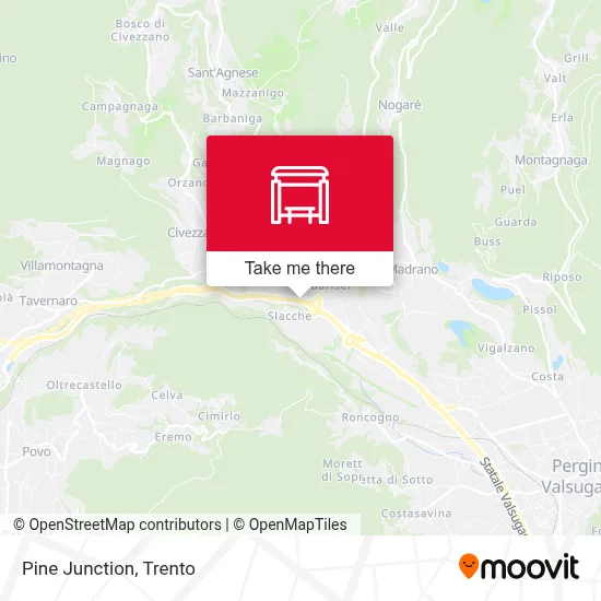 Pine Junction map