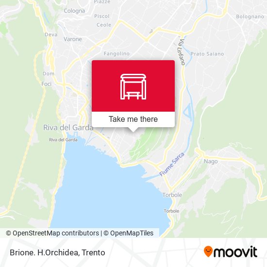Brione. H.Orchidea map