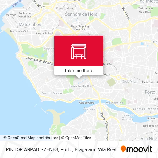 PINTOR ARPAD SZENES map