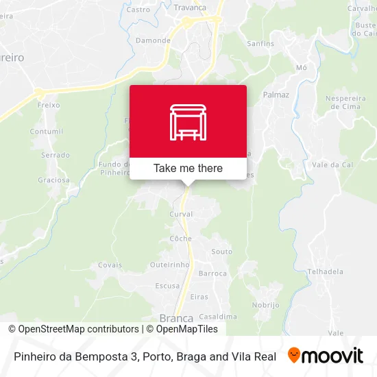 Pinheiro da Bemposta 3 map