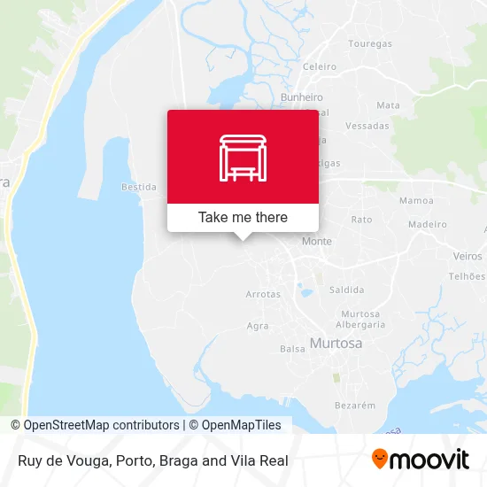 Ruy de Vouga map
