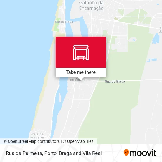 Rua da Palmeira map