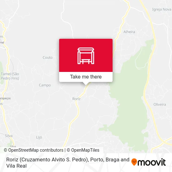 Roriz (Cruzamento Alvito S. Pedro) map